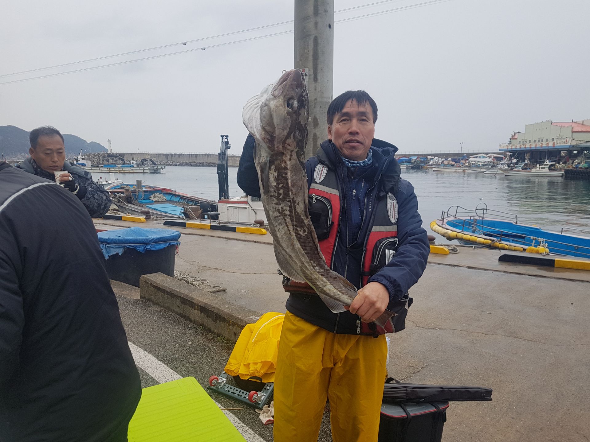 2월28일 대구조황입니다^^