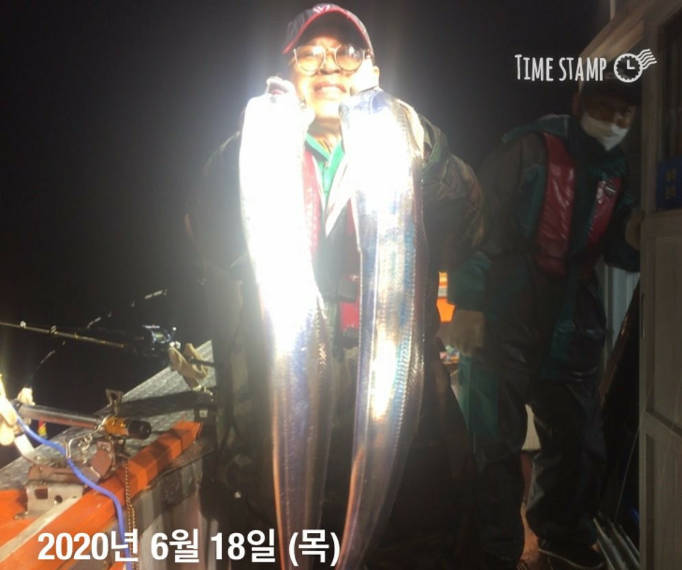 제주왕갈치 구경하세용~~