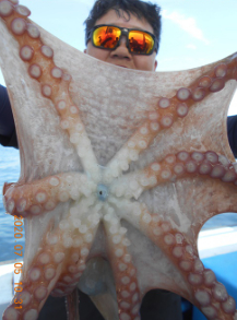 어제공현진왕우럭 조황입니다~~