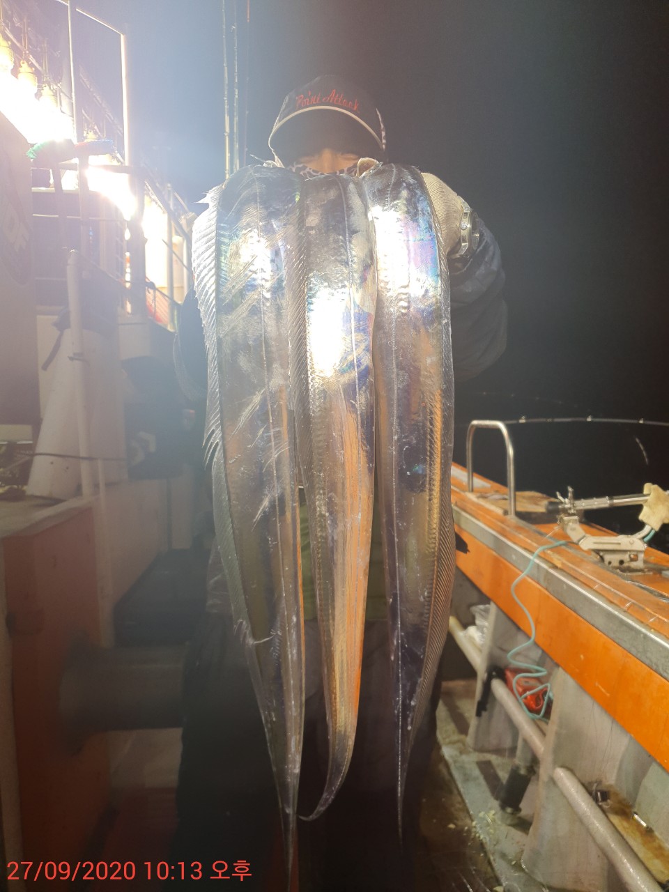 제주왕갈치 구경하세용~~