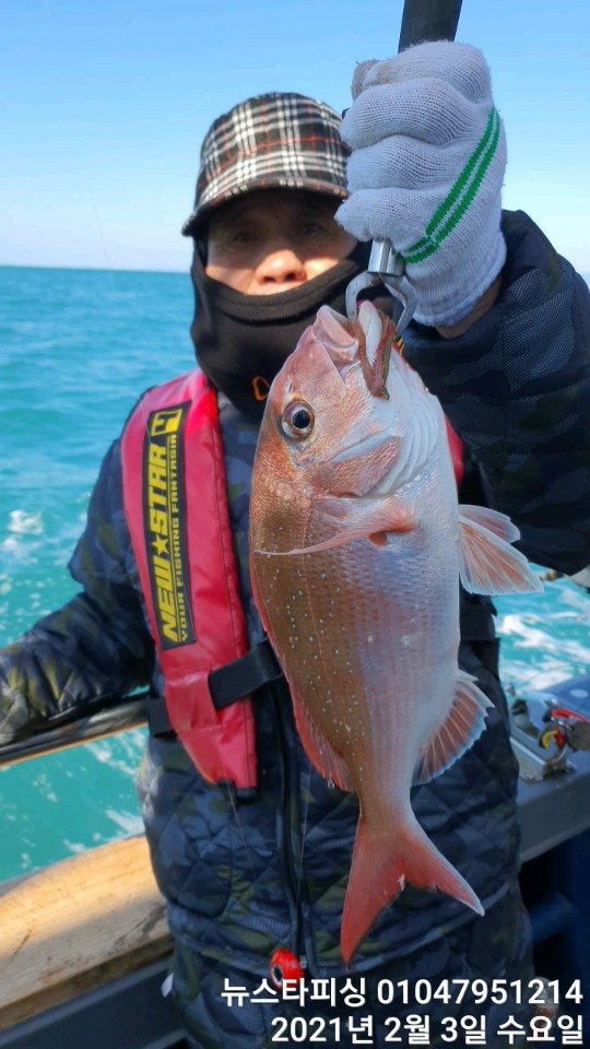 거문도 참돔조황입니다^^