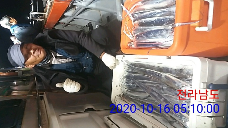 여수 갈치 굿조황입니다