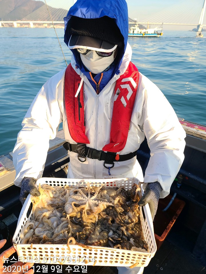 쭈꾸미 씨알 죽이내용