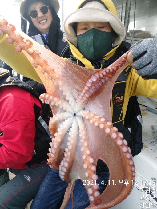 공현진왕문어입니다~~