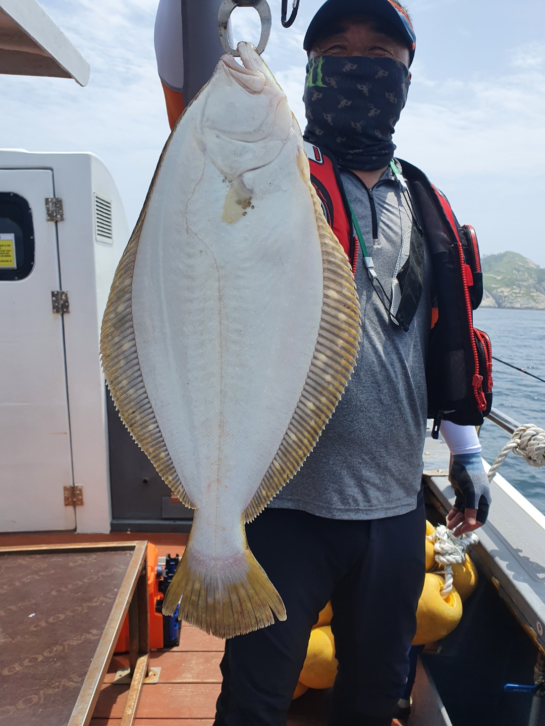 무창포 광어조황입니다~~~~