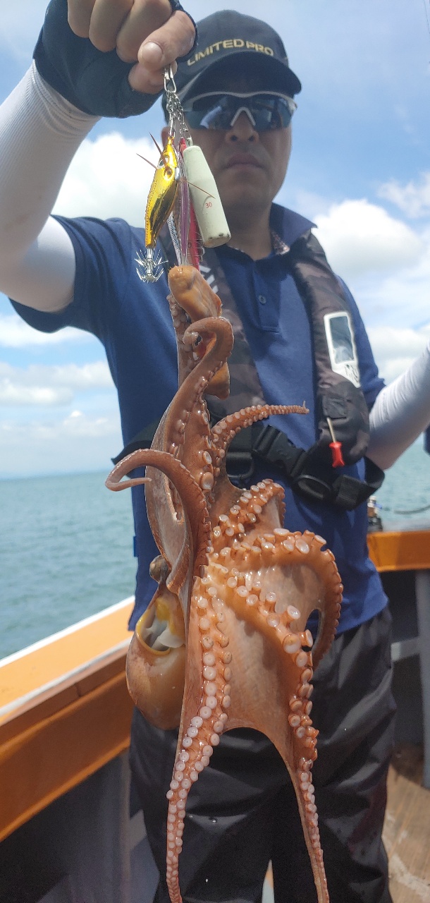 여수문어입니당~~