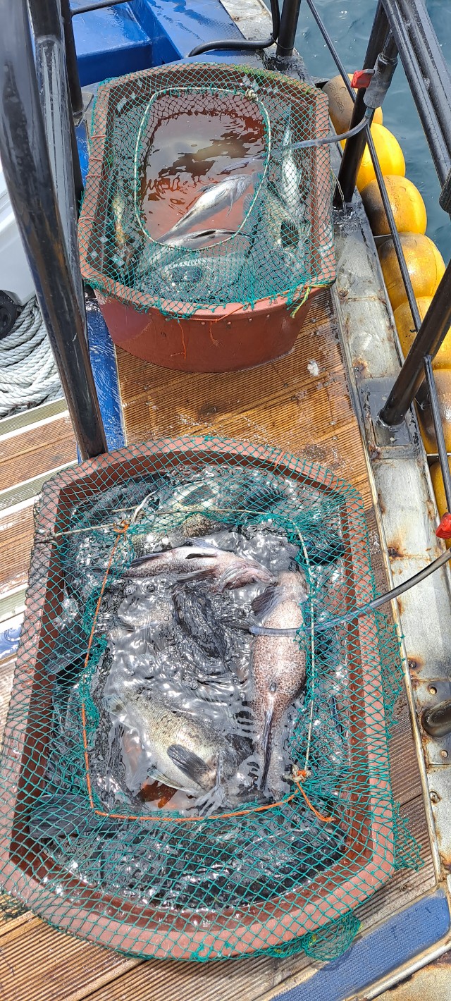 동해우럭씨알좋아요~~