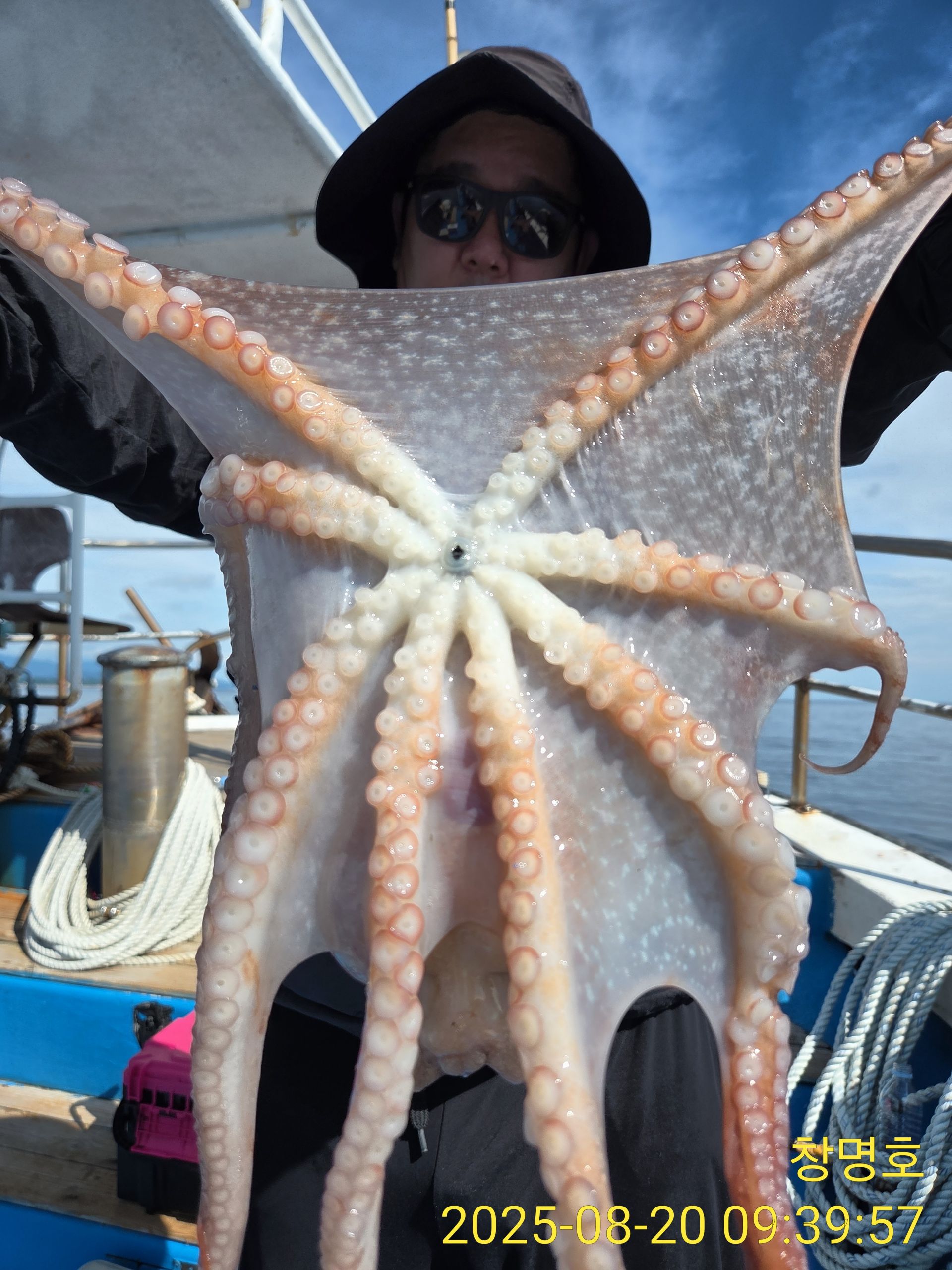 동해피문어조황!!