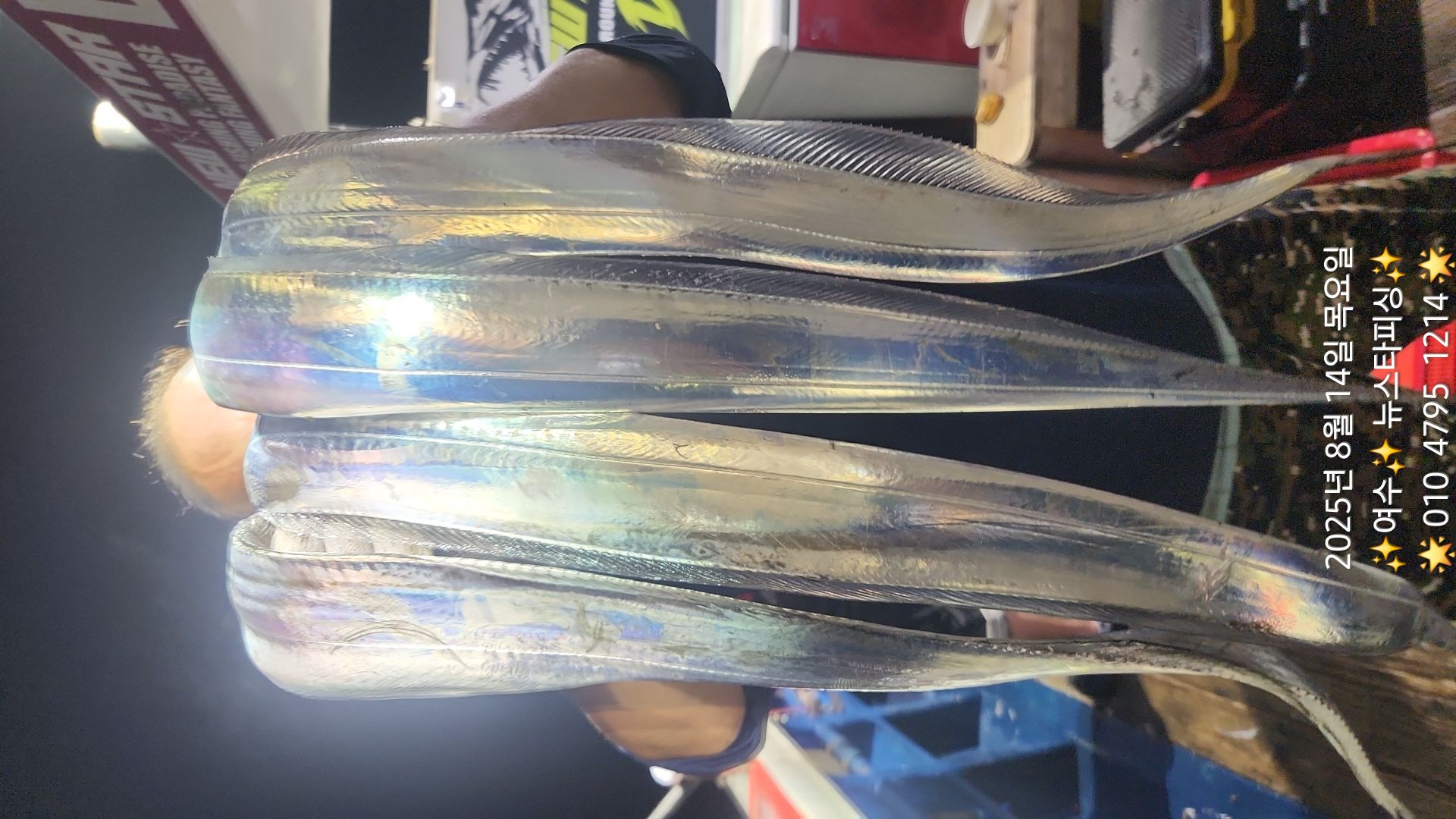 전원3지~4지급으로 아박이조황!!