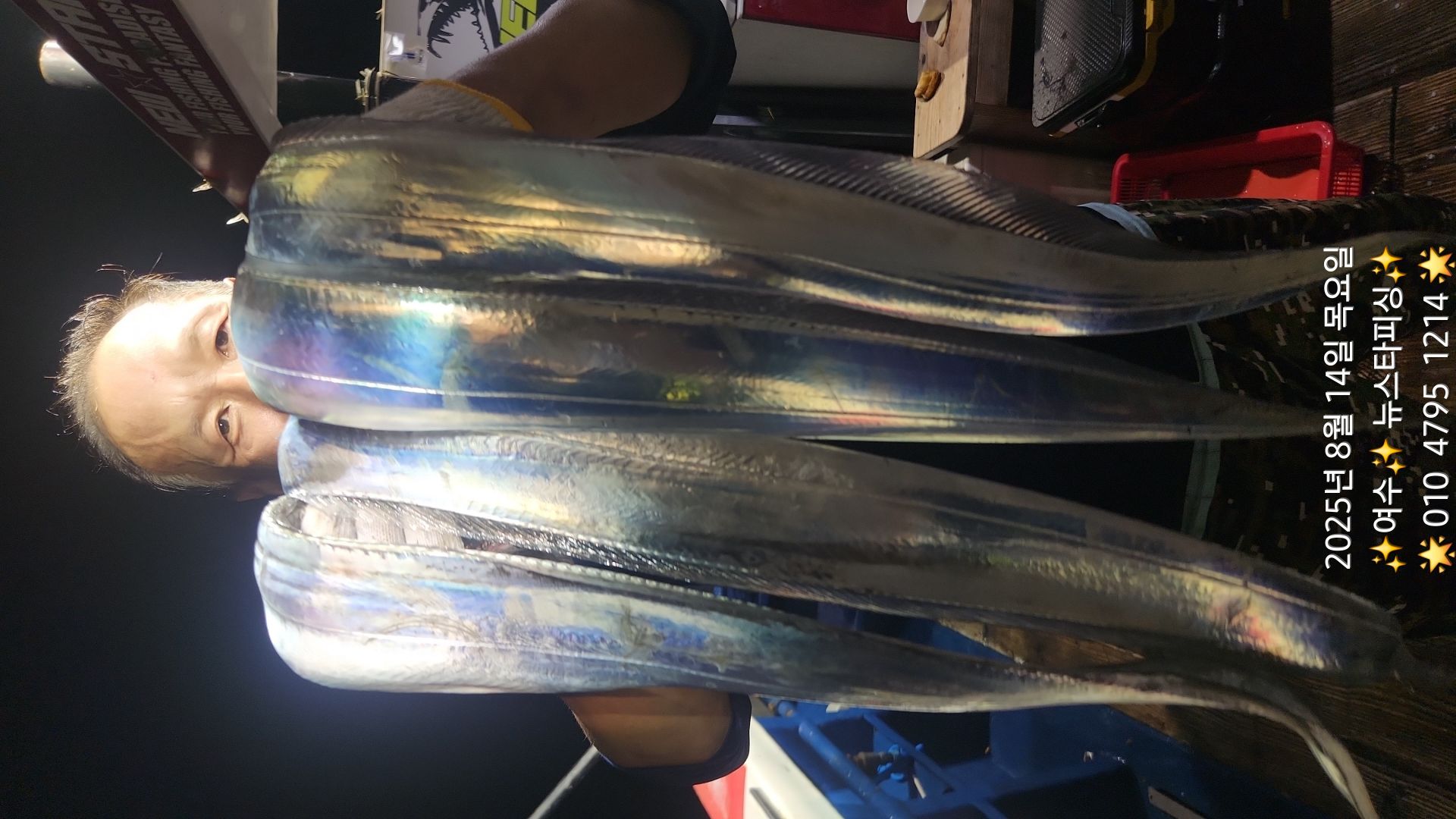 뉴스타왕갈치  굿조황