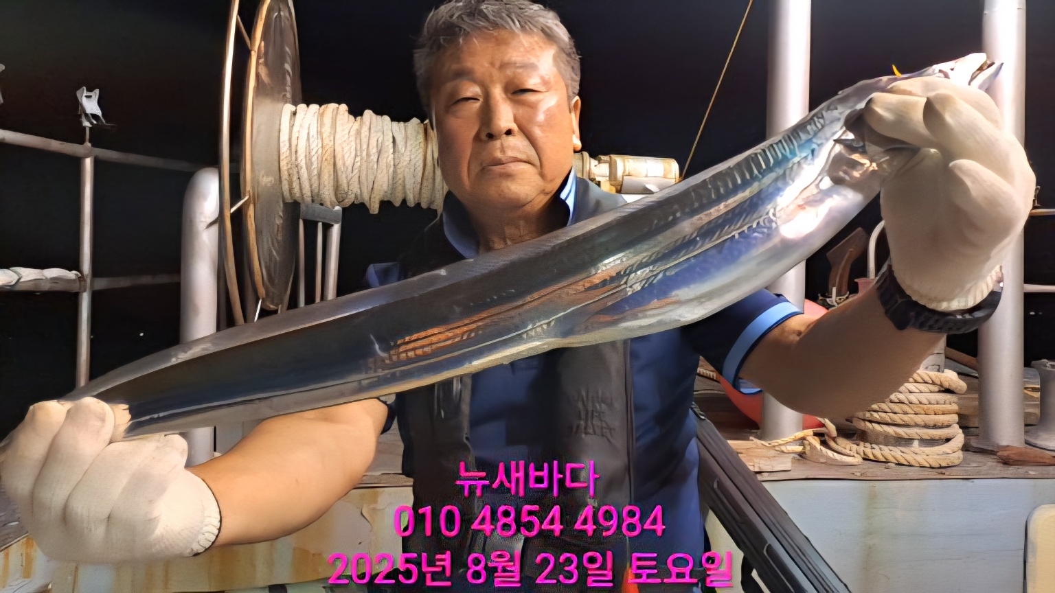 거제도왕갈치  굿굿굿조황