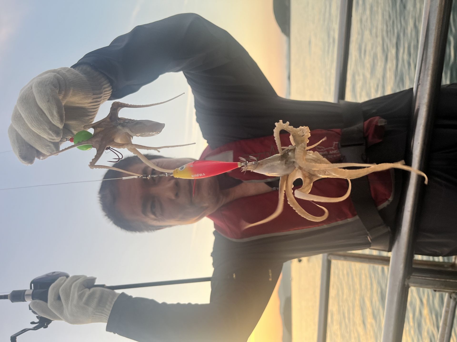 홍원항 쭈꾸미굿조황^^