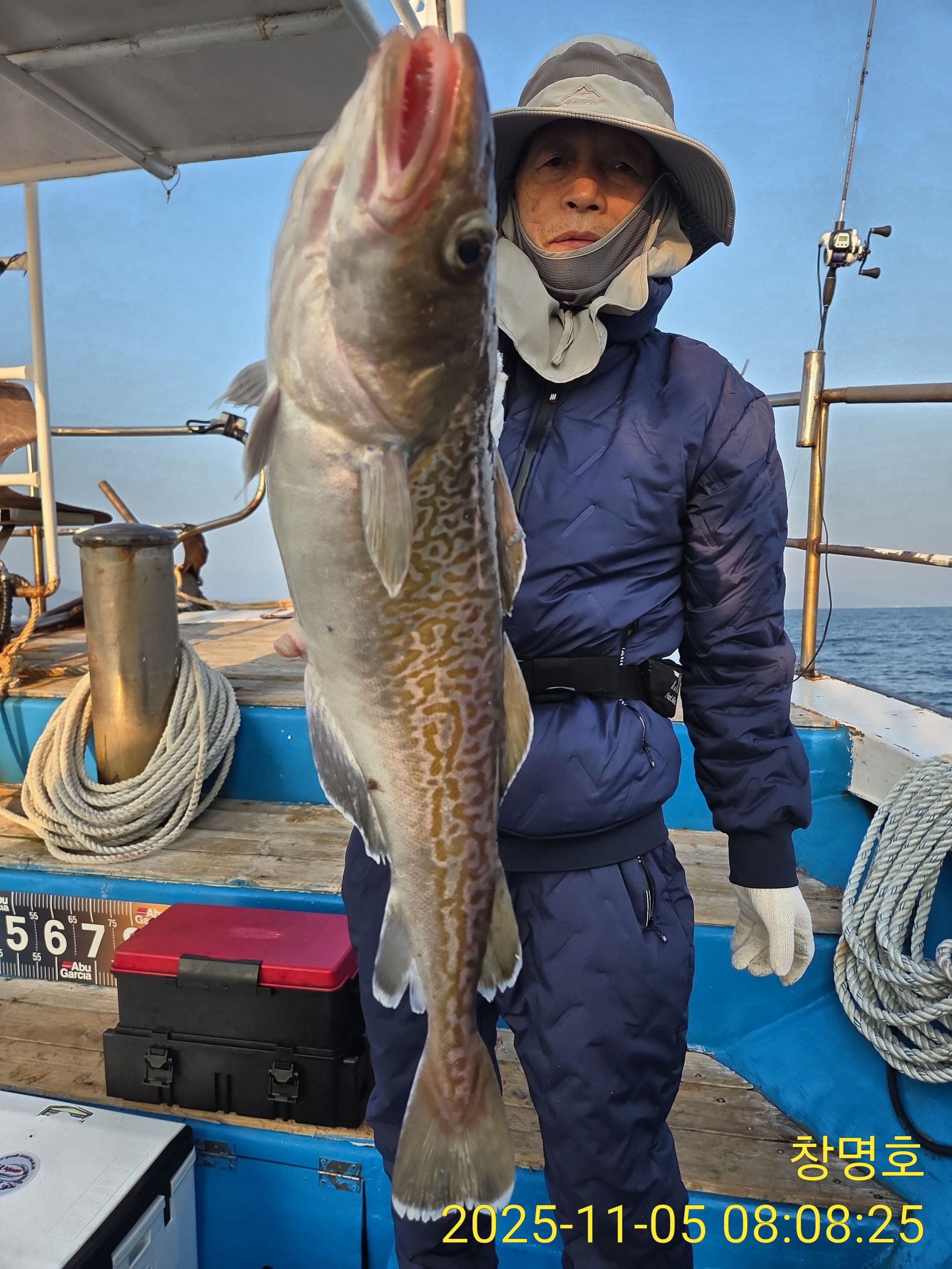 11/5 공현진 왕대구 조황입니다~^^