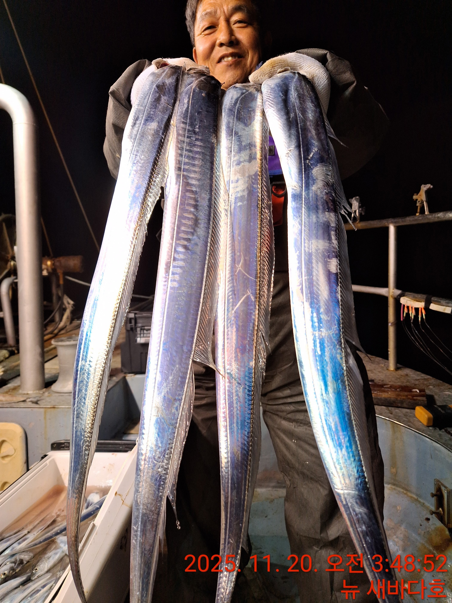 11/19 왕갈치 조황입니다^^*