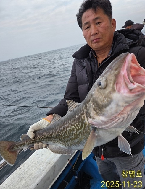 미터급 왕대구비롯하여~~