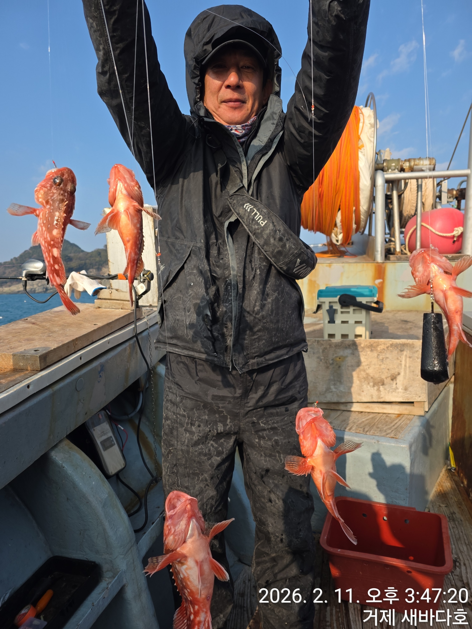 거제왕열기쏨뱅이조황~~